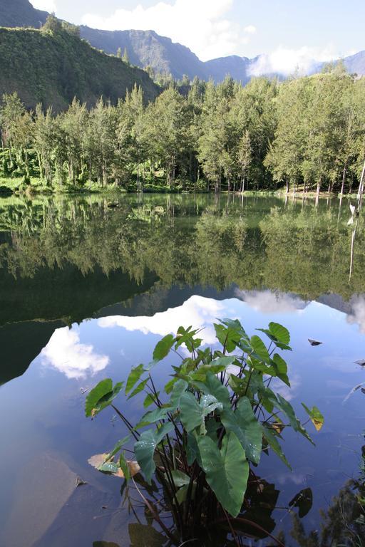 Le Relais Des Cimes Otel Salazie Dış mekan fotoğraf